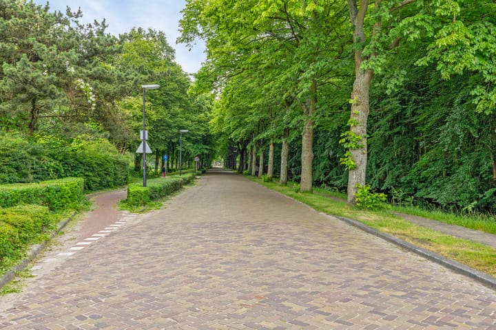 Foto 60 van Park de Wervelaan 3