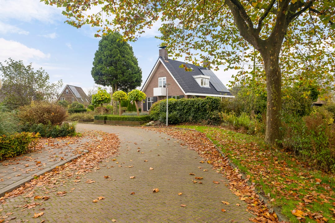 Foto 47 van De Zeilen 36