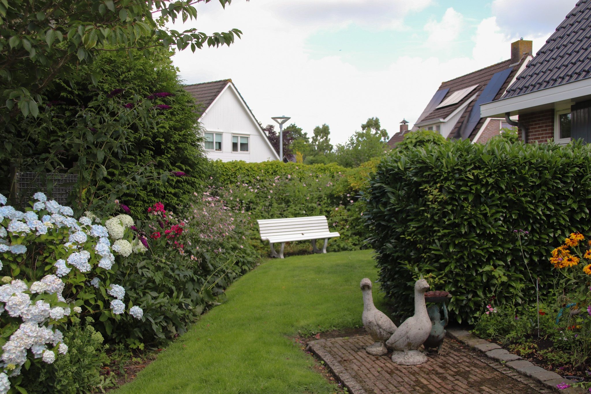 Foto 63 van De Zeilen 36