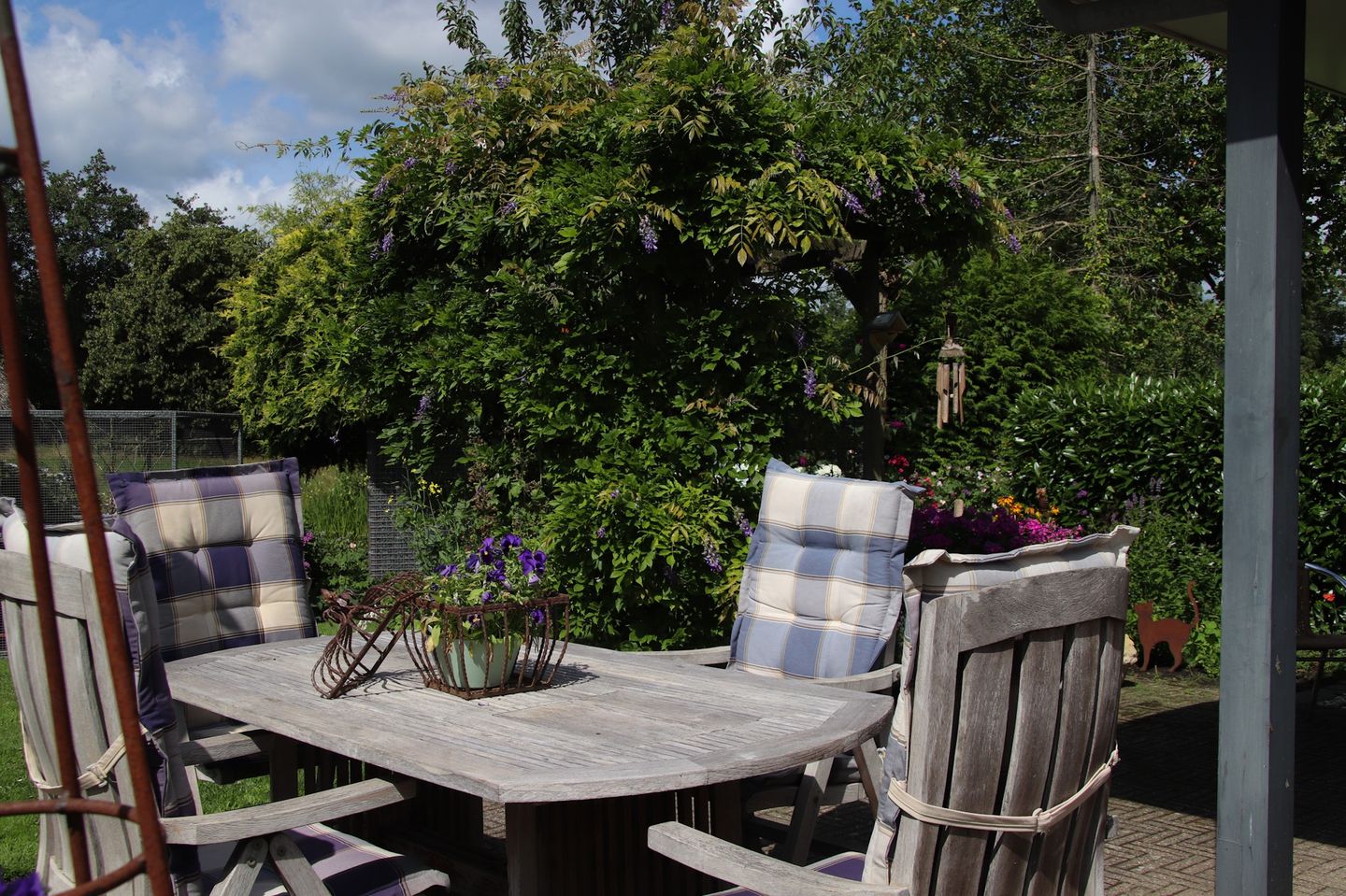 Foto 64 van De Zeilen 36