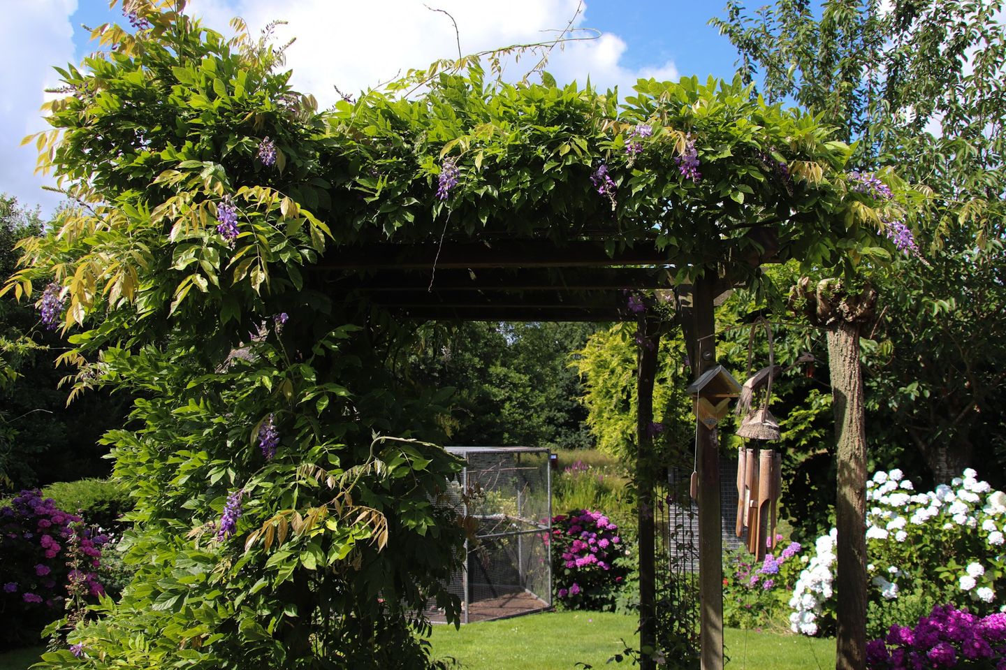 Foto 65 van De Zeilen 36