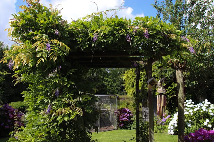 Photo 65 of De Zeilen 36