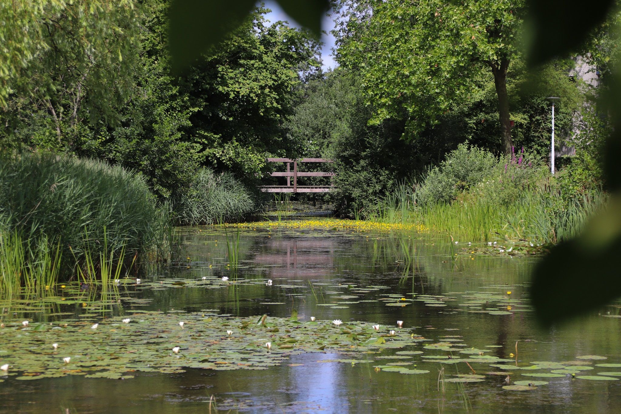 Foto 66 van De Zeilen 36