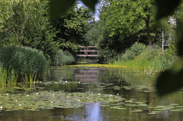 Photo 66 of De Zeilen 36