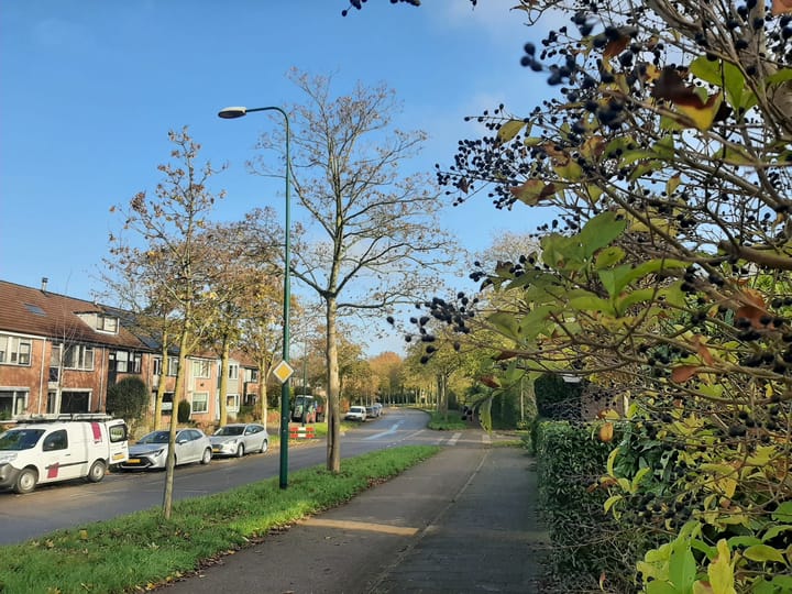 Foto 5 van Nieuweweg 24