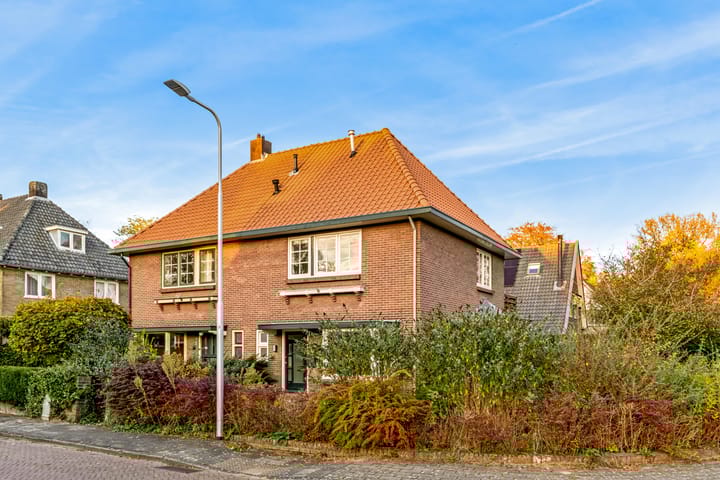 undefined main image