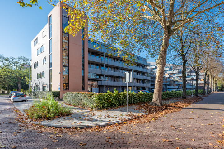 Photo 3 of Leeghwaterstraat 252