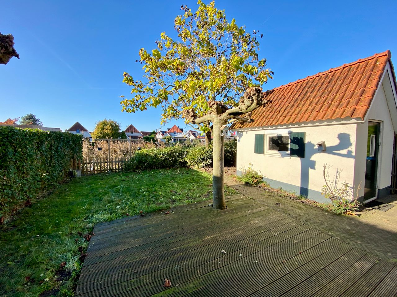 Foto 15 van IJsvogel 42