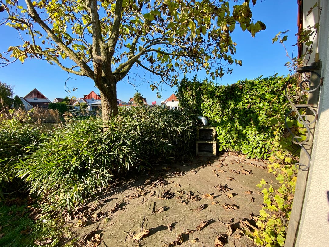 Foto 16 van IJsvogel 42