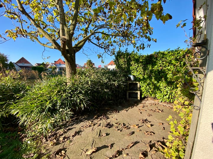 Foto 16 van IJsvogel 42