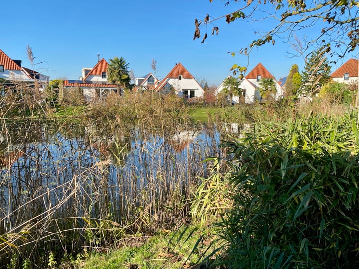 Foto 17 van IJsvogel 42