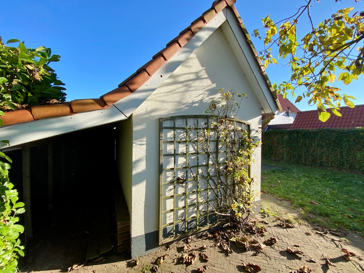 Foto 19 van IJsvogel 42