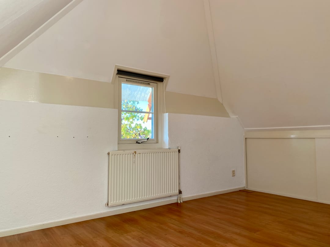 Foto 28 van IJsvogel 42