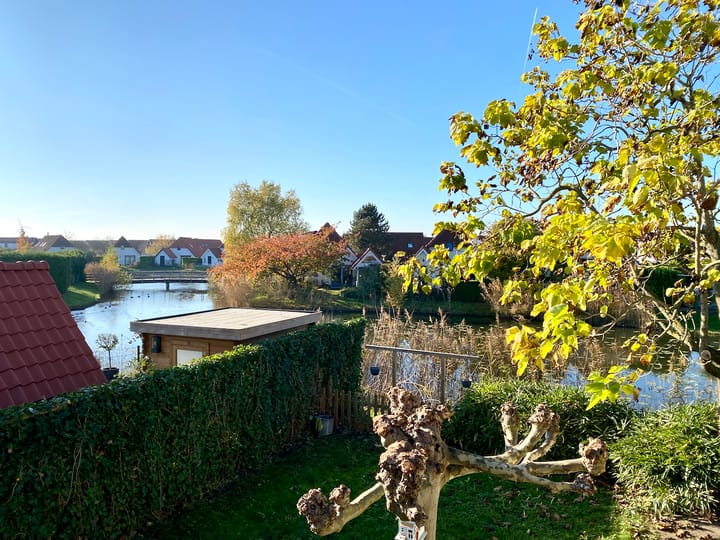 Foto 29 van IJsvogel 42