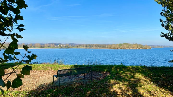 Foto 33 van IJsvogel 42