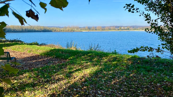 Foto 34 van IJsvogel 42