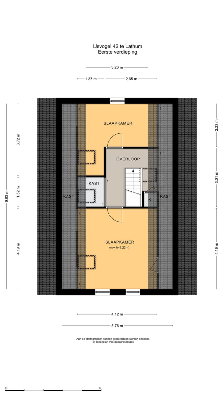 Foto 39 van IJsvogel 42