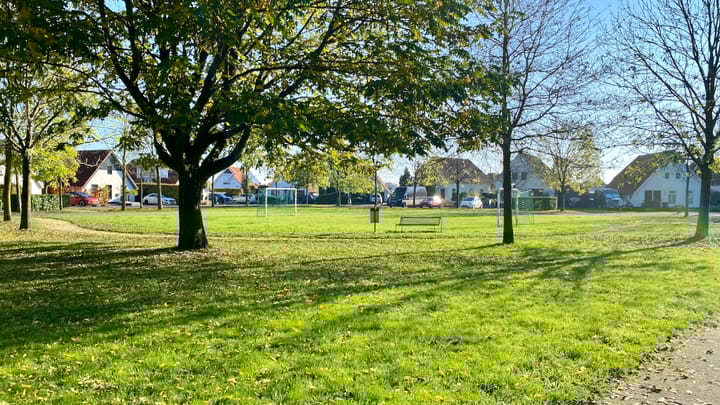 Foto 36 van IJsvogel 42