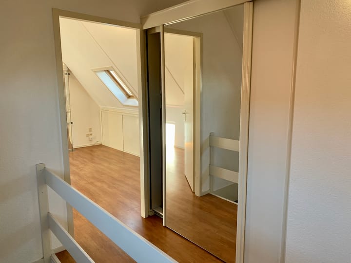 Foto 24 van IJsvogel 42