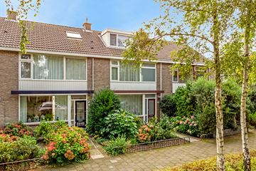 Hendrik Casimirstraat thumbnail