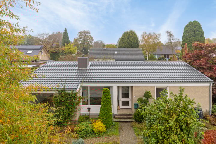 Foto 1 van Le Blancstraat 4