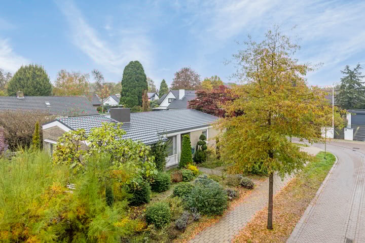 Foto 5 van Le Blancstraat 4