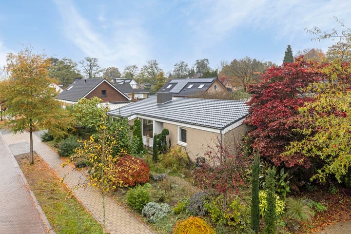 Foto 6 van Le Blancstraat 4