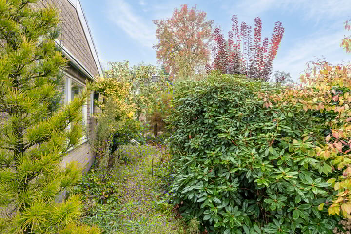 Foto 32 van Le Blancstraat 4