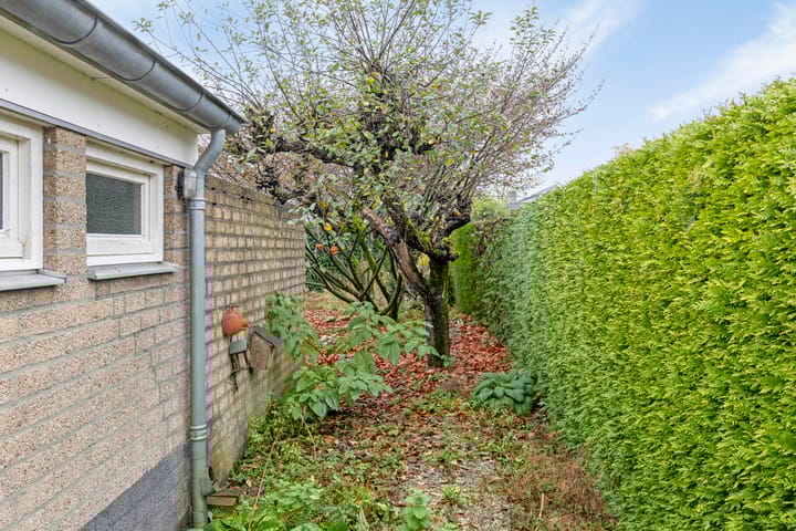 Foto 33 van Le Blancstraat 4