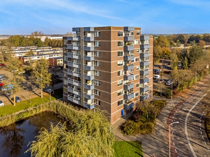 Photo 1 of Boterbloem 24