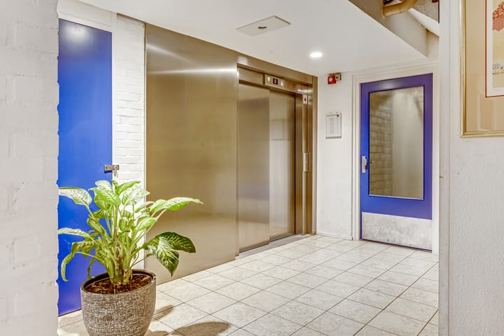 Photo 2 of Boterbloem 24