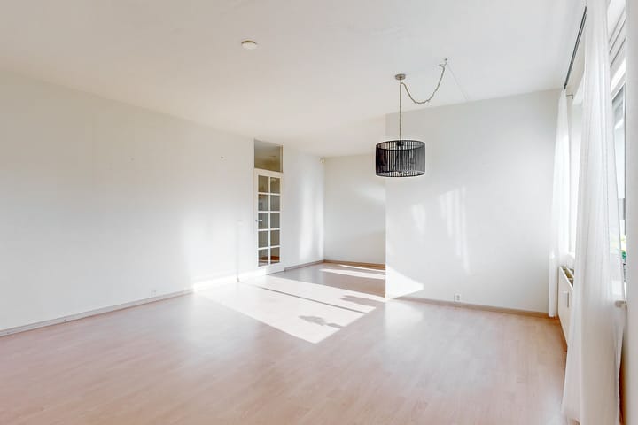 Photo 4 of Boterbloem 24