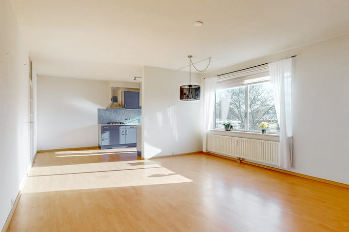 Photo 5 of Boterbloem 24