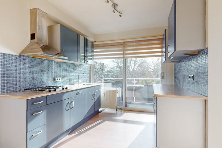 Photo 7 of Boterbloem 24