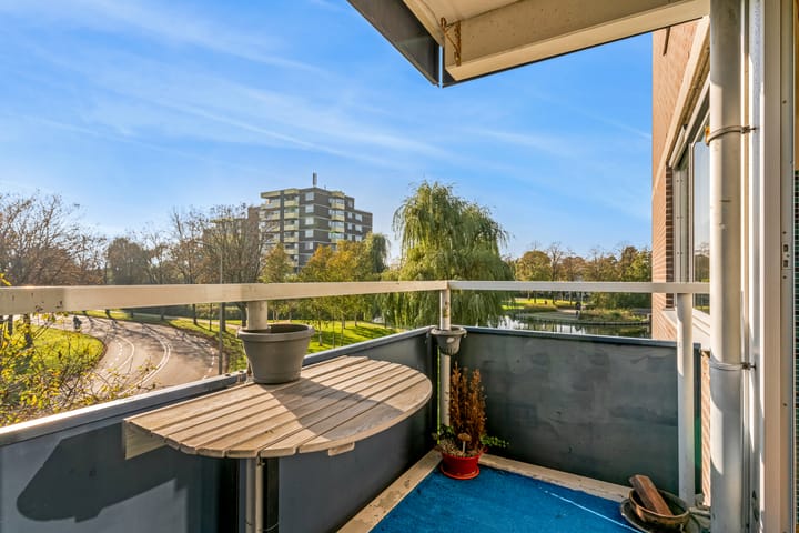 Photo 12 of Boterbloem 24