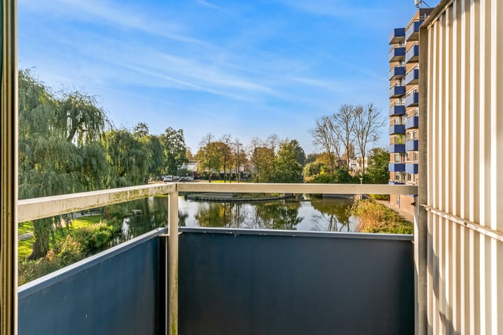 Photo 13 of Boterbloem 24