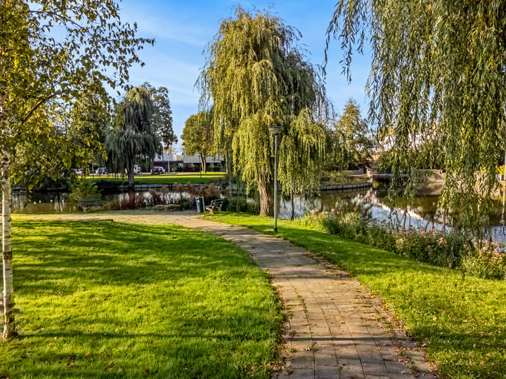 Photo 14 of Boterbloem 24