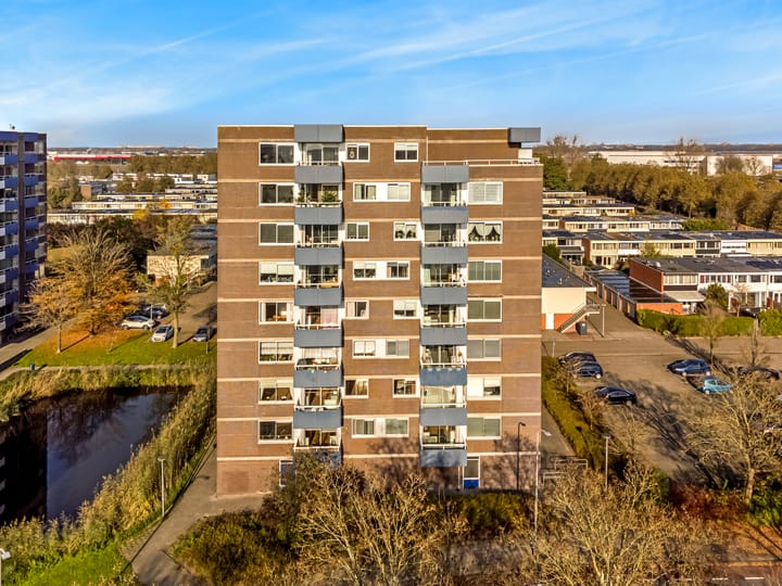 Photo 15 of Boterbloem 24