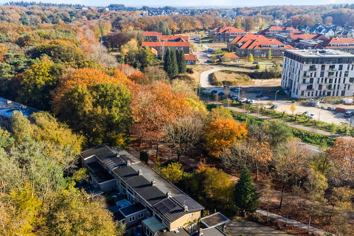 Bekijk foto 42 van Nieuwe Kazernelaan 41