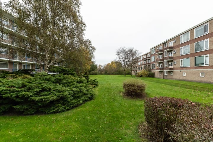 Foto 23 van Paterswoldseweg 279-5