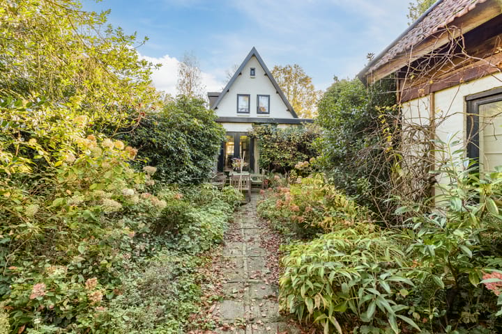 Foto 35 van Doorntjes 23