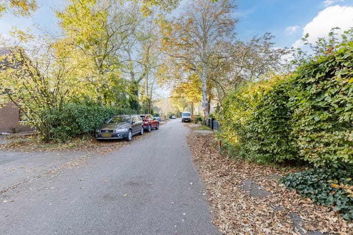 Foto 38 van Doorntjes 23