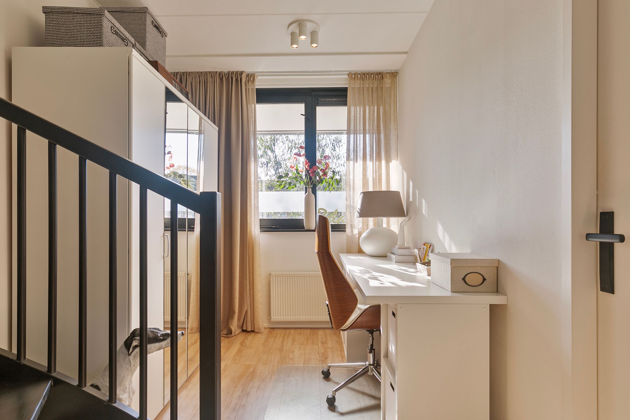 Foto 24 van Dassenburg 7