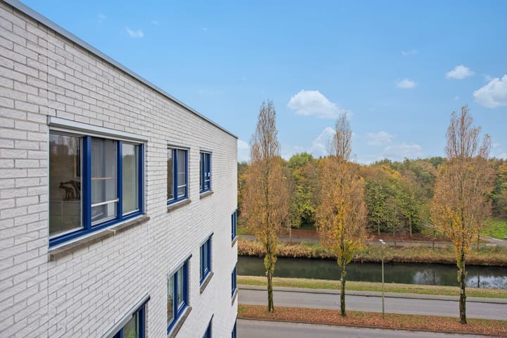 Foto 37 van Mosgroen 165