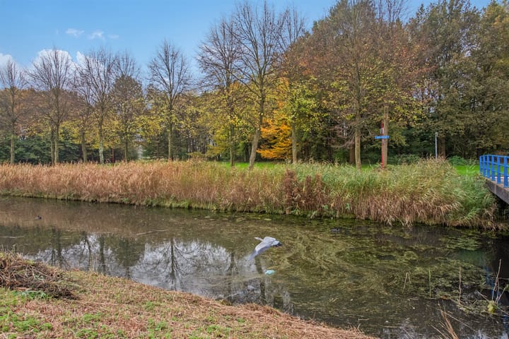 Foto 43 van Mosgroen 165