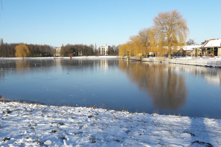 Foto 46 van Mosgroen 165