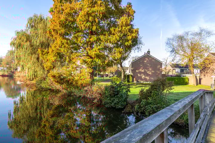 Foto 50 van Kamillegaarde 10