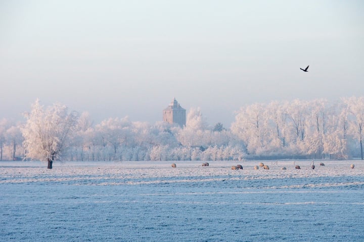 Bekijk foto 32 van Puttershof 16