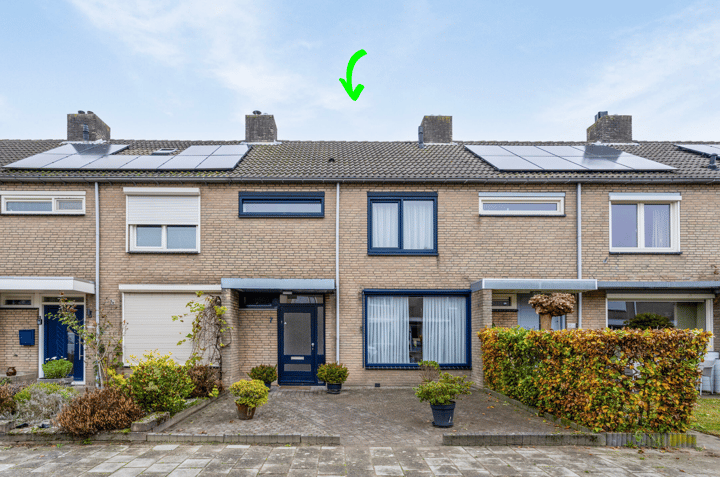 undefined main image