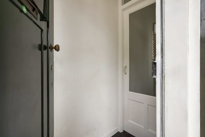 Photo 50 of Nieuwe Haven 299-A